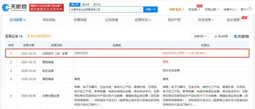 代理 網(wǎng)絡(luò)世界中的雙重身份與現(xiàn)實啟示
